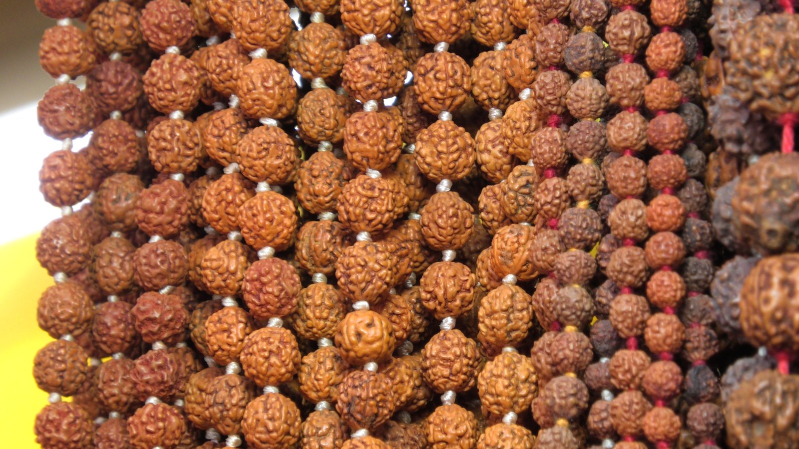 WHAT IS RUDRAKSHA..