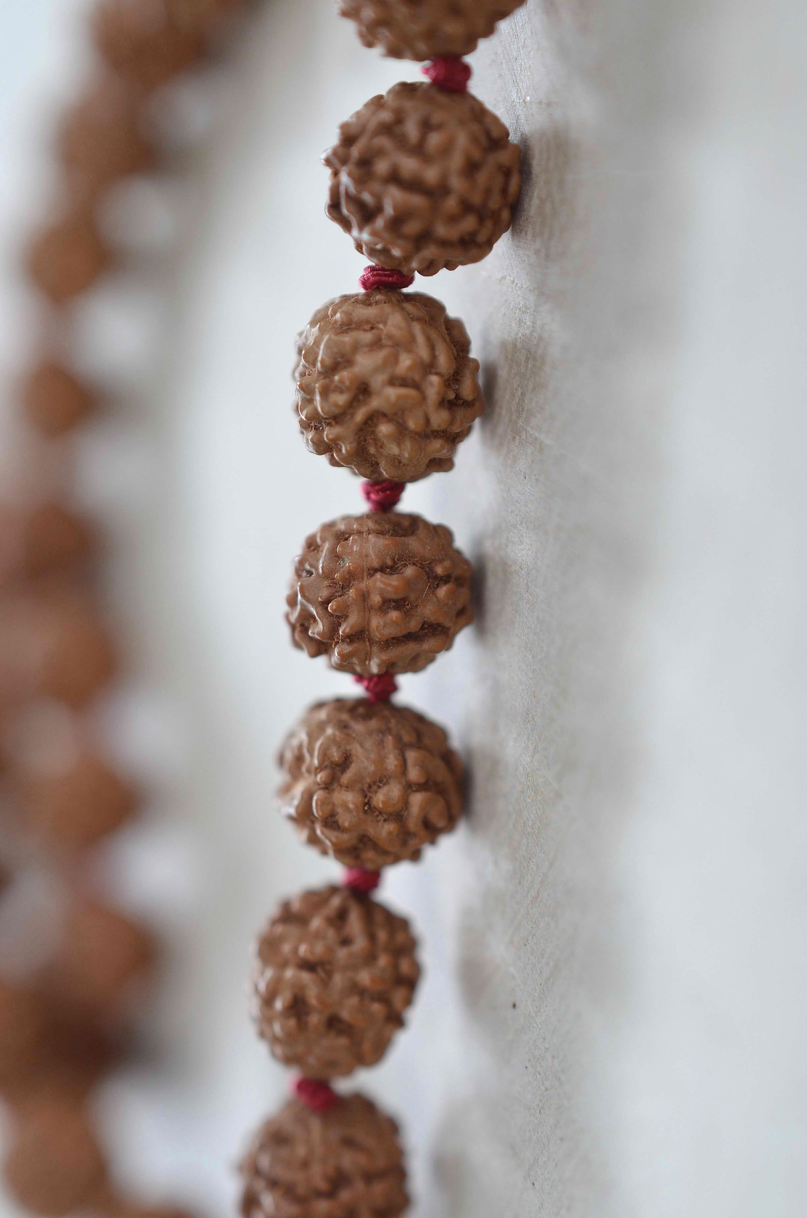 WHAT IS RUDRAKSHA..